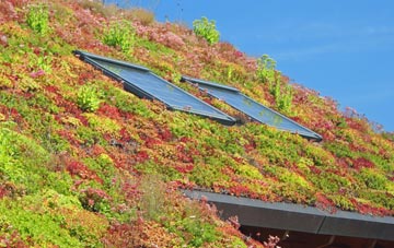 Roughcote living roof systems