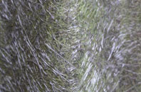 Roughcote fibreglass roof work